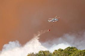 Tarifa Camping Site Evacuated Due to Fire from Burning Caravan - Spain