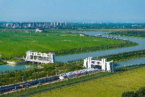 BYD Hefei Base Paihe Port Ro Ro Ship Export
