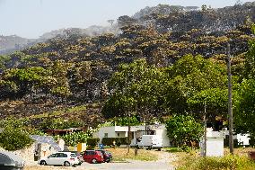 Infoca Battles Tarifa Fire with Over 100 Troops - Spain