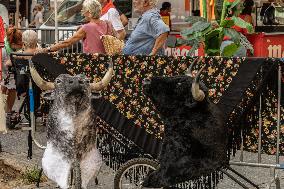 San Cayetano Festivities - Madrid