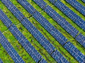 Water Chestnut Harvest in Huai'an