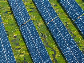 Water Chestnut Harvest in Huai'an