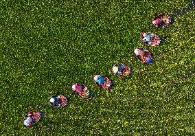 Water Chestnut Harvest in Huai'an