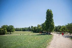 Illustration - Parc du Grand Godet - Orly