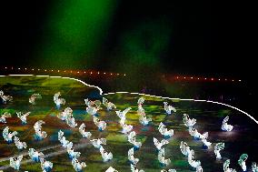 Opening Ceremony of The World Games 2025 - China