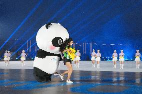 Opening Ceremony of The World Games 2025 - China