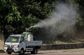 Italy on Alert as West Nile Virus Cases Rise - Naples