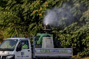 Italy on Alert as West Nile Virus Cases Rise - Naples