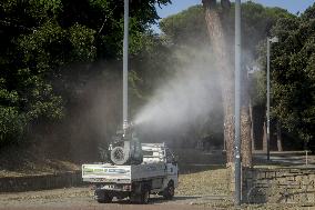 Italy on Alert as West Nile Virus Cases Rise - Naples
