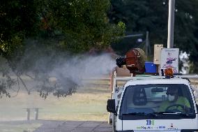 Italy on Alert as West Nile Virus Cases Rise - Naples