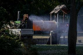 Italy on Alert as West Nile Virus Cases Rise - Naples