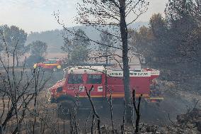France Battles Largest Wildfire in Decades