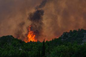 France Battles Largest Wildfire in Decades