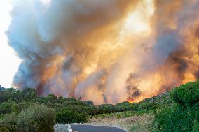 France Battles Largest Wildfire in Decades