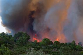 France Battles Largest Wildfire in Decades