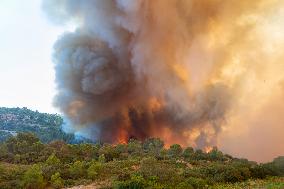 France Battles Largest Wildfire in Decades