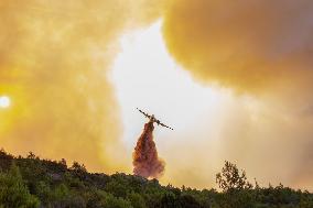 France Battles Largest Wildfire in Decades