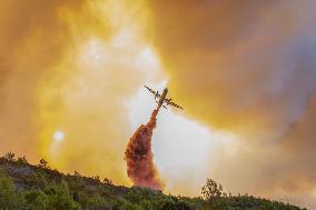 France Battles Largest Wildfire in Decades