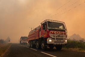 France Battles Largest Wildfire in Decades