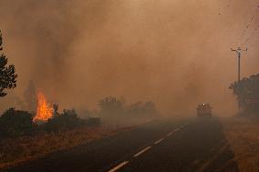 France Battles Largest Wildfire in Decades