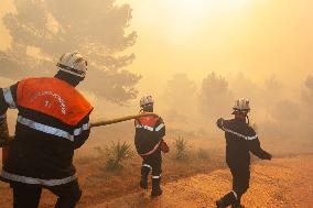 France Battles Largest Wildfire in Decades