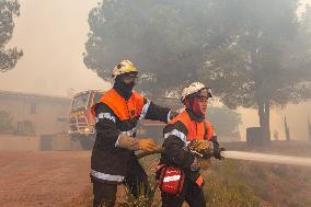 France Battles Largest Wildfire in Decades