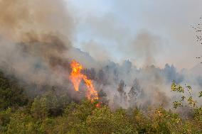 France Battles Largest Wildfire in Decades