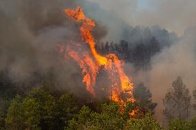 France Battles Largest Wildfire in Decades