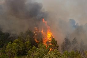 France Battles Largest Wildfire in Decades