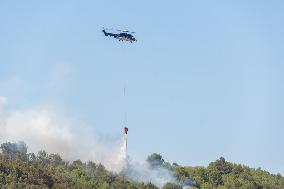 France Battles Largest Wildfire in Decades