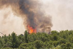 France Battles Largest Wildfire in Decades