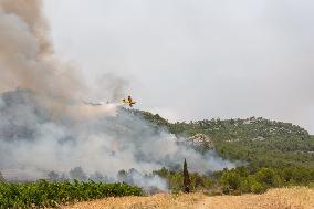 France Battles Largest Wildfire in Decades