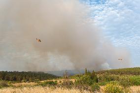 France Battles Largest Wildfire in Decades