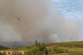 France Battles Largest Wildfire in Decades