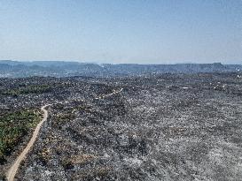 Aerial view of the burned landscape of the Corbières Aude - France