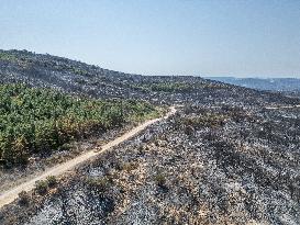 Aerial view of the burned landscape of the Corbières Aude - France