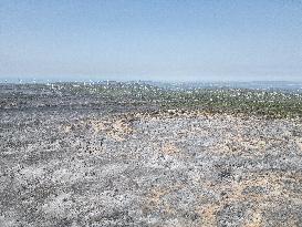 Aerial view of the burned landscape of the Corbières Aude - France