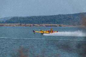 Canadair planes during their refilling on the Etang de Bages - Aude