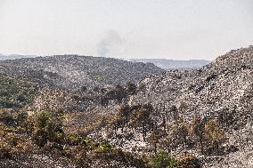 Aftermath of the huge fire in the Corbières Aude - France