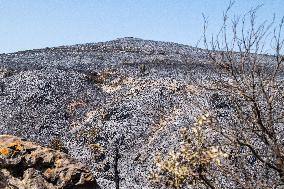 Aftermath of the huge fire in the Corbières Aude - France