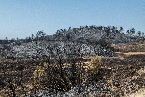 Aftermath of the huge fire in the Corbières Aude - France