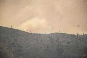 Aftermath of the huge fire in the Corbières Aude - France