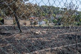 Aftermath of the huge fire in the Corbières Aude - France
