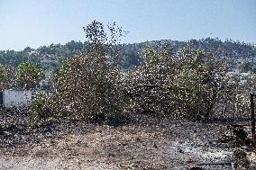 Aftermath of the huge fire in the Corbières Aude - France