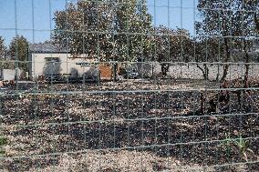 Aftermath of the huge fire in the Corbières Aude - France