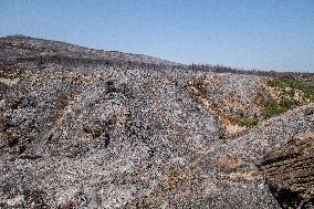 Aftermath of the huge fire in the Corbières Aude - France