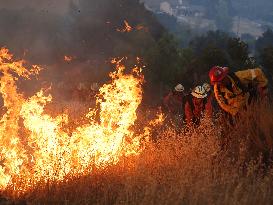 Wildfire in Ventura California - USA