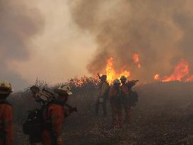 Wildfire in Ventura California - USA