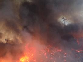 Wildfire in Ventura California - USA