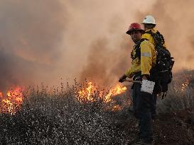 Wildfire in Ventura California - USA